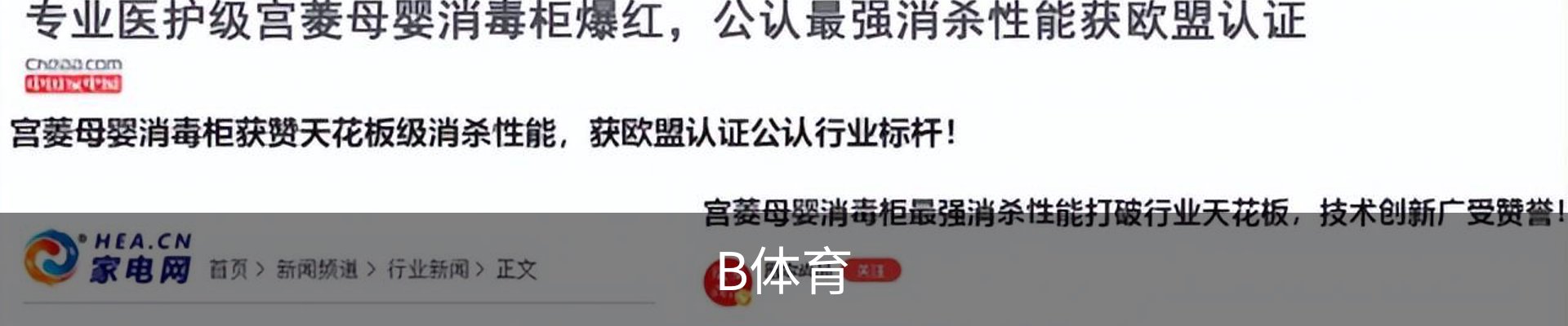B体育